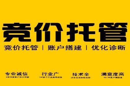 谷歌竞价案例：跨境电商广告投放策略